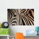 Zebra up