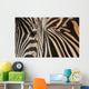 Zebra up