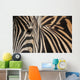 Zebra up