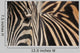 Zebra up