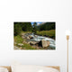 Mountain Creek Wall Decal