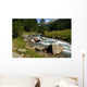 Mountain Creek Wall Decal