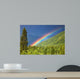 Rainbow over forest Wall Mural
