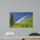 Rainbow over forest Wall Mural