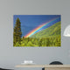 Rainbow over forest Wall Mural