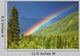 Rainbow over forest Wall Mural