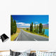 New Zealand Landscape