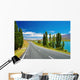 New Zealand Landscape