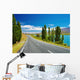 New Zealand Landscape