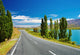 New Zealand Landscape