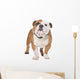 English Bulldog Wall Decal
