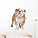 English Bulldog Wall Decal