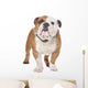 English Bulldog Wall Decal