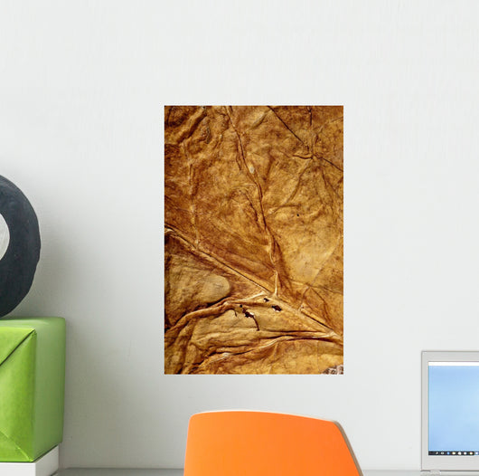 Golden Leaf Texture