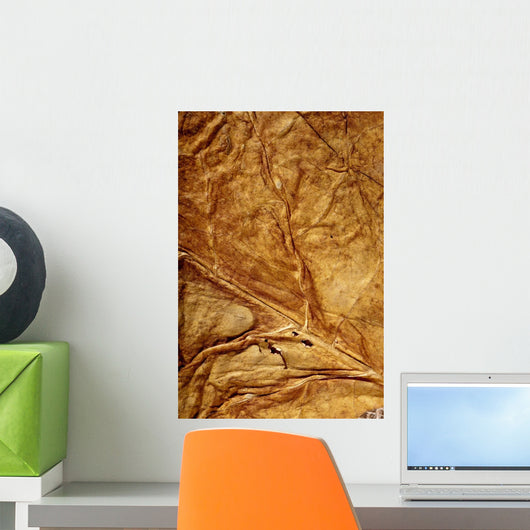 Golden Leaf Texture