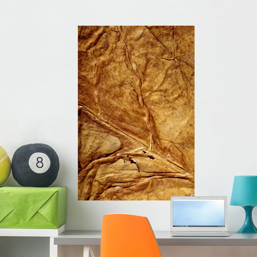 Golden Leaf Texture