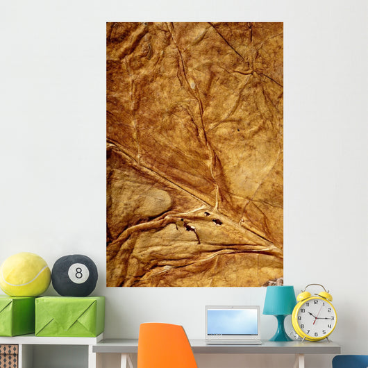 Golden Leaf Texture