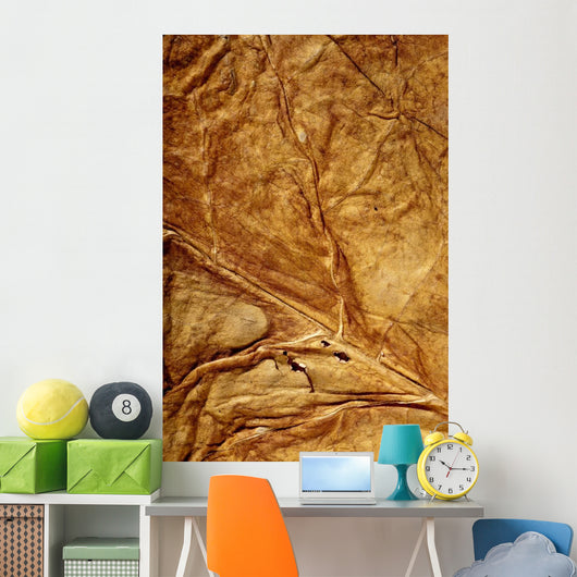 Golden Leaf Texture