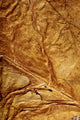 Golden Leaf Texture