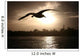 Sea Gull Flying over Wall Decal