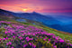 Mountain Landscape