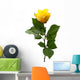 Single Yellow Rose