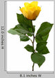 Single Yellow Rose