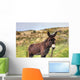Donkey Meadow Ireland Wall Mural