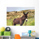 Donkey Meadow Ireland Wall Mural