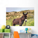 Donkey Meadow Ireland Wall Mural