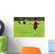 Boys Playing Soccer Wall Mural