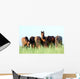 Group Wild Horses Field