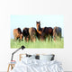 Group Wild Horses Field