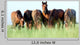 Group Wild Horses Field