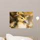 Baby Ducks Wall Mural