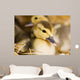 Baby Ducks Wall Mural