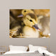 Baby Ducks Wall Mural