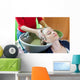 Washing Hair Wall Mural