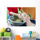 Washing Hair Wall Mural