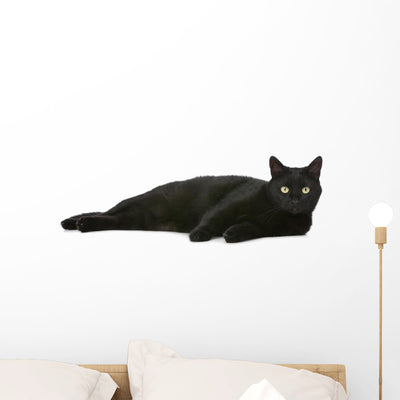 Cat Wall Decal shown on a wall