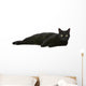 Cat Wall Decal