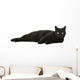 Cat Wall Decal