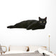 Cat Wall Decal
