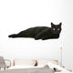 Cat Wall Decal