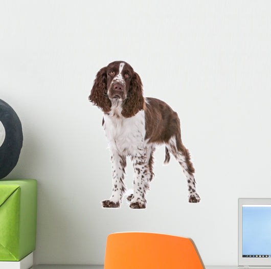 Springer Spaniel Wall Decal