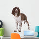 Springer Spaniel Wall Decal