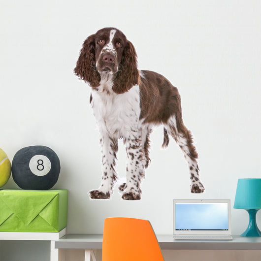 Springer Spaniel Wall Decal