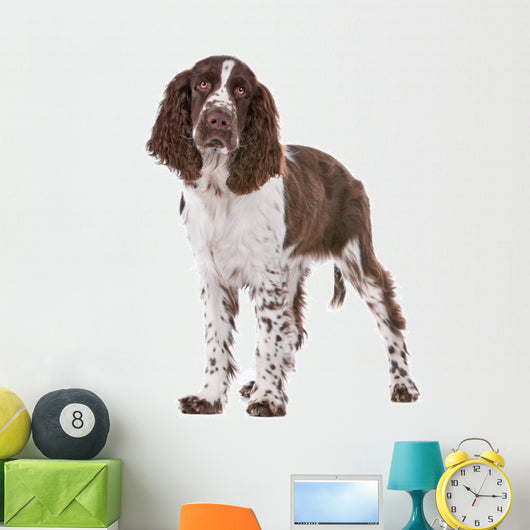 Springer Spaniel Wall Decal