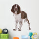 Springer Spaniel Wall Decal