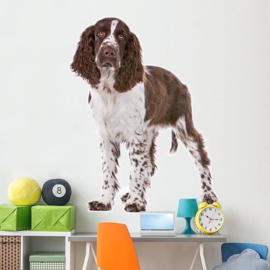Springer Spaniel Wall Decal